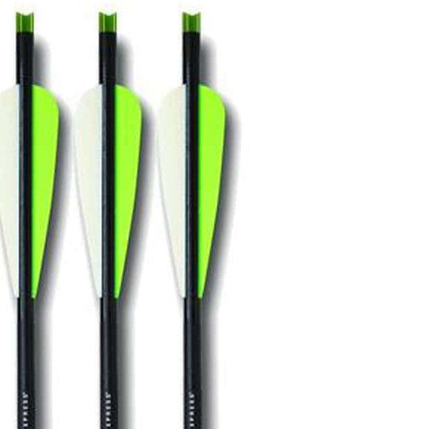 Carbon Express Piledriver 20" crossbolt 3 pack with lighted nocks